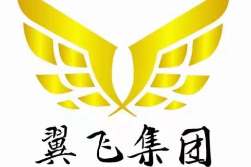 山东翼飞电子商务集团